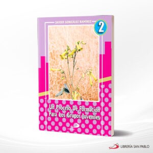 UN PROCESO DE FORMACION 2 – SAN PABLO