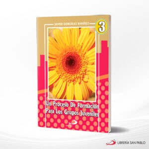 UN PROCESO DE FORMACION 3 – SAN PABLO